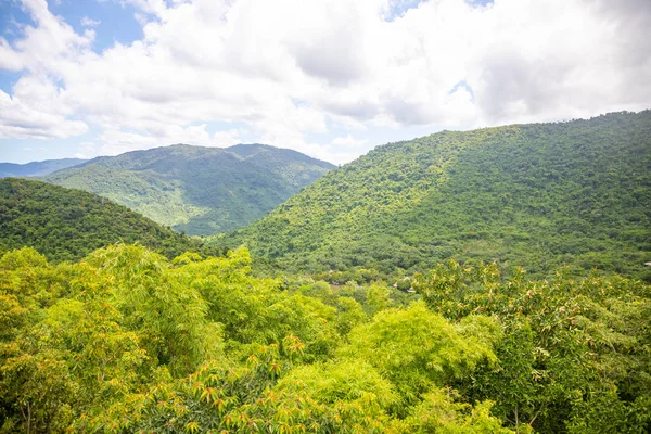 中国・三谷市海南島の柳野田熱帯雨林公園の眺め — ストック写真