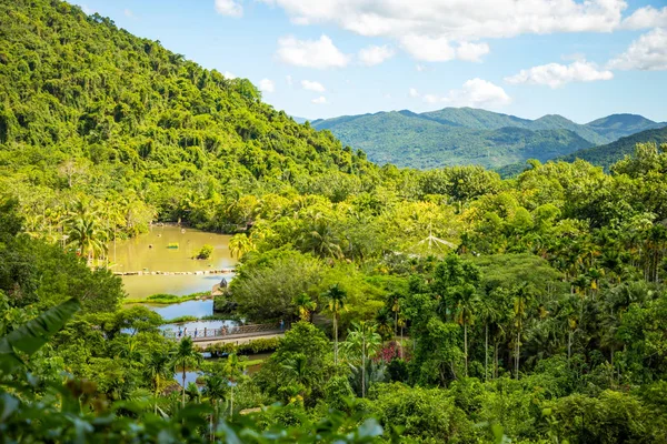 Yanoda foresta pluviale nel parco vicino a Sanya, Hainan, Cina — Foto Stock