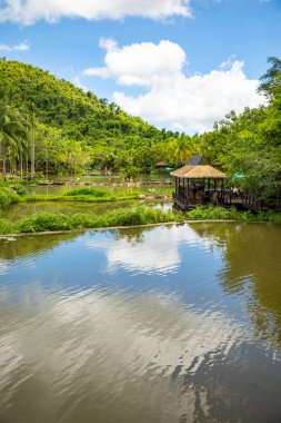 Sanya, Hainan, Çin yanındaki parkta Yanoda yağmur ormanı