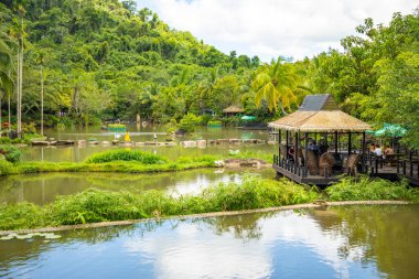 Sanya, Hainan, Çin yanındaki parkta Yanoda yağmur ormanı