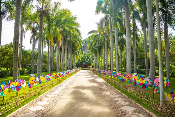 Cuevas de flores de piedra de Danzhou, Geoparque al lado de Haikou, Hainan, China — Foto de Stock