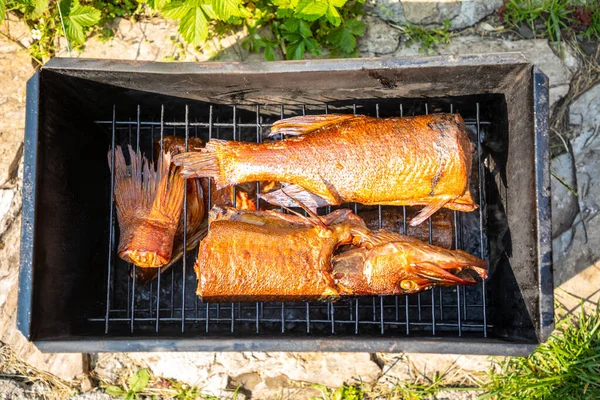 Eski geleneksel Rus Sibirya yemeğinden tütsülenmiş balık turnabalığı dumanı. — Stok fotoğraf