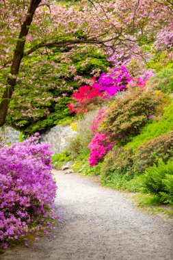 Pruhonice Park, Prag, Çek Cumhuriyeti 'nde bahar günü harika bir doğa.