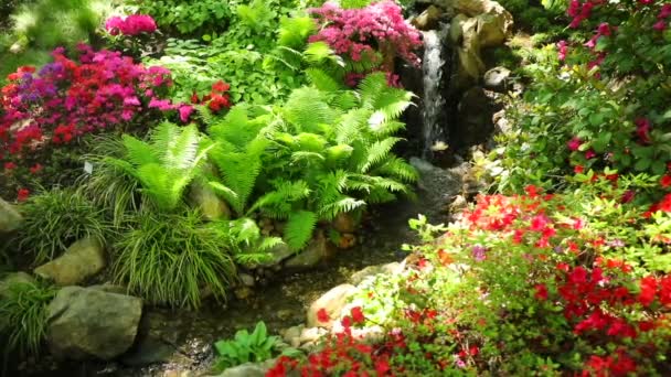 Cascada Jardín Japonés Con Arbusto Púrpura Jardín Botánico República Checa — Vídeos de Stock