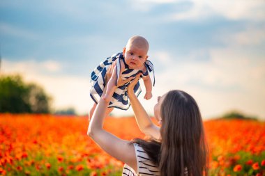 Güzel anne ve kızı Çek Cumhuriyeti 'ndeki gelincik tarlasında