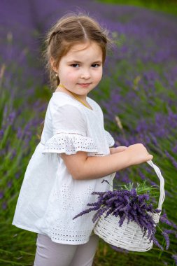 Çek Cumhuriyeti 'nde lavanta tarlasında beyaz elbiseli, gülümseyen genç kız.