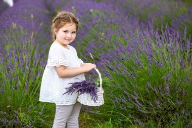 Çek Cumhuriyeti 'nde lavanta tarlasında beyaz elbiseli, gülümseyen genç kız.