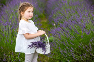 Çek Cumhuriyeti 'nde lavanta tarlasında beyaz elbiseli, gülümseyen genç kız.