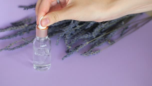 Huile essentielle de lavande, chute de pipette cosmétique et bouquet de lavande sur fond violet — Video
