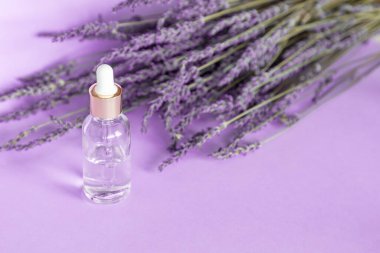 Lavanta yağı ve mor arka planda bir lavanta buketi, Düşük cam şişe maketi