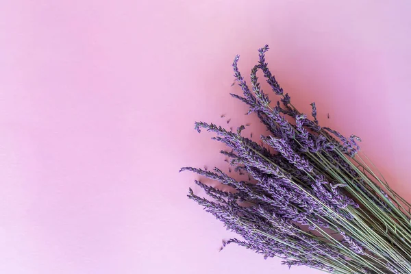 紫色の紙の背景にドライラベンダーの花花束 — ストック写真