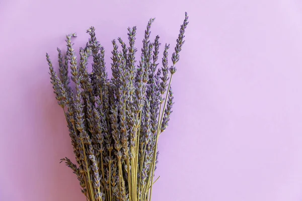 Trockener Lavendel Blumenstrauß Auf Violettem Papier Hintergrund — Stockfoto