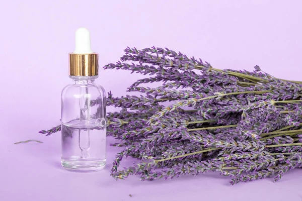 Olio Essenziale Lavanda Bouquet Lavanda Sfondo Viola Vetro Dropper Bottle — Foto Stock