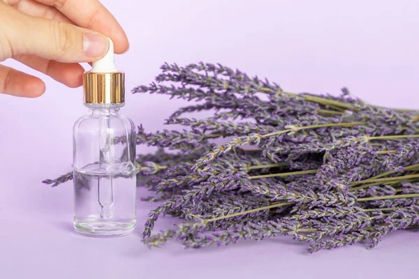 Aceite Esencial Lavanda Una Gota Cae Pipeta Cosmética Ramo Lavanda —  Fotos de Stock