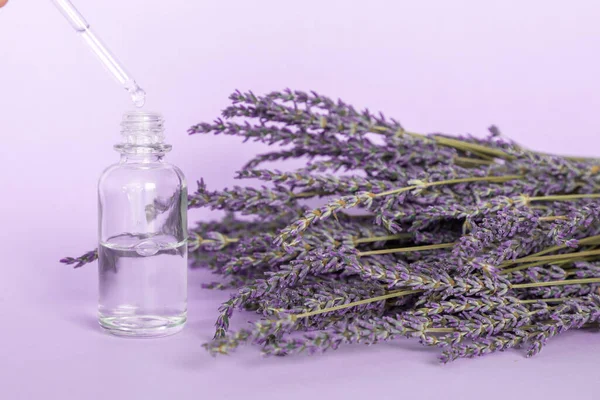 Ätherisches Lavendelöl Ein Tropfen Fällt Aus Kosmetikpipette Und Lavendelstrauß Auf — Stockfoto
