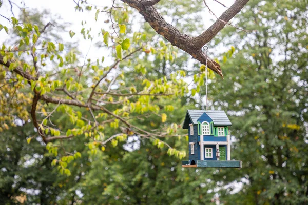 Dekorativní Modrý Ptačí Dům Stromě Letním Parku — Stock fotografie