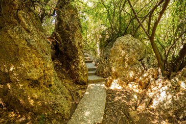 Türkiye 'nin Antalya kenti yakınlarındaki Kursunlu Şelalesi kamu parkı, doğa yolculuğu geçmişi, sonbahar zamanı