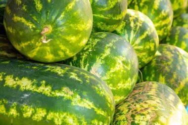 Türkiye 'nin Antalya kentindeki çiftçi pazarında bir sürü tatlı yeşil organik karpuz var. Beslenme ve Vitaminler