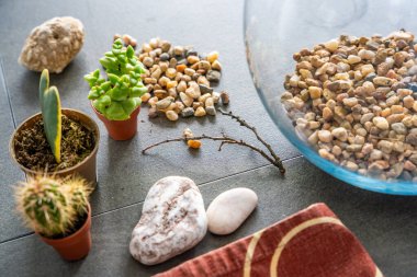 Kapalı bir floraryum ya da cam ekosistem oluşturmak için hazırlanmış doğal malzemelere ve dekoratif elementlere yakından bakın. DIY bitki tasarımı, ekolojik bilinçli yaşam ve yaratıcı ev projeleri kavramı. 