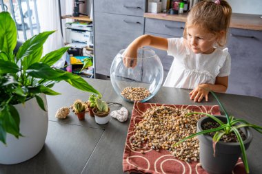 Küçük bir kız gelecekteki bitki örtüsü ya da kapalı ekosistem için cam kaplara taş döküyor. Elle öğrenme, çevre dostu yaratıcılık ve doğaya dayalı projelere erken katılım. 