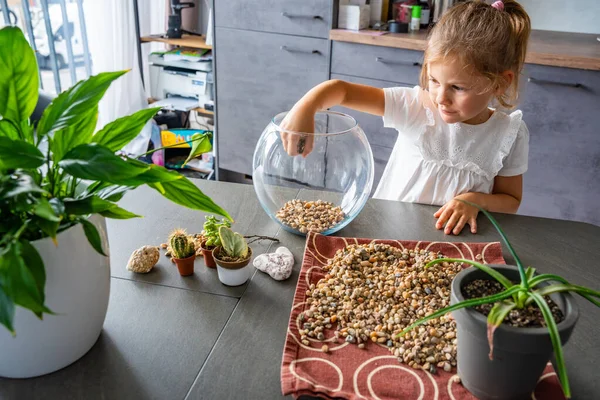 Küçük bir kız gelecekteki bitki örtüsü ya da kapalı ekosistem için cam kaplara taş döküyor. Elle öğrenme, çevre dostu yaratıcılık ve doğaya dayalı projelere erken katılım. 
