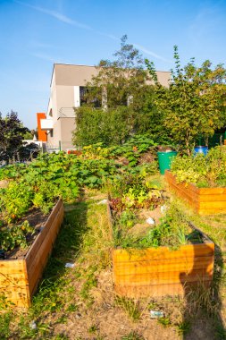 Zizkov, Prag, Çek Cumhuriyeti 'ndeki şehir bahçesi. Şehrin göbeğinde modern apartman binalarıyla çevrili sürdürülebilir yeşil alanlar. Yüksek kalite fotoğraf