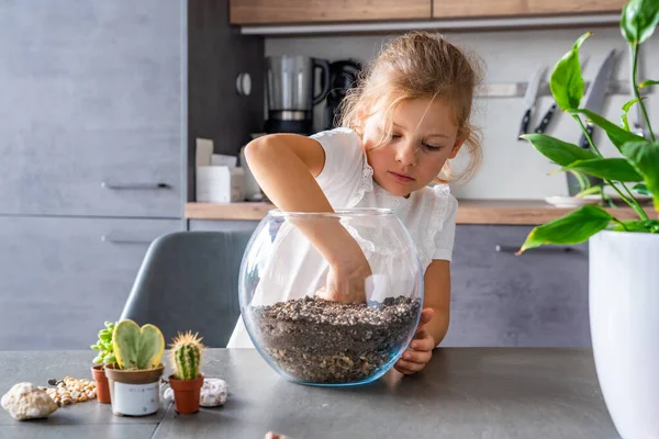 Toprak düzenleyen, kaktüs eken ve teraryumu taş ve kabukla süsleyen küçük bir kız. Yaratıcılık kavramı, eko-bilinçli öğrenme ve çocuklukta doğaya dayalı etkinlik. 