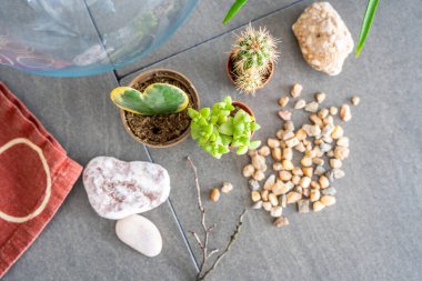 Kapalı bir teraryum ya da cam ekosistem oluşturmak için hazırlanmış doğal malzemelerin ve dekoratif elementlerin üst görünümü. DIY bitki tasarımı, ekolojik bilinçli yaşam ve yaratıcı ev projeleri kavramı. 