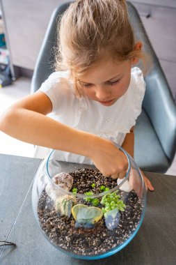Toprak düzenleyen, kaktüs eken ve teraryumu taş ve kabukla süsleyen küçük bir kız. Yaratıcılık kavramı, eko-bilinçli öğrenme ve çocuklukta doğaya dayalı etkinlik. 