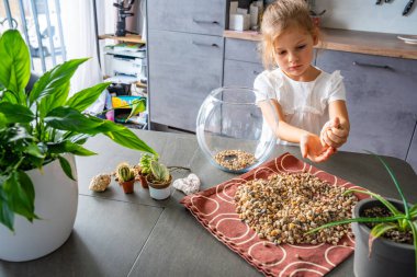 Küçük bir kız gelecekteki bitki örtüsü ya da kapalı ekosistem için cam kaplara taş döküyor. Elle öğrenme, çevre dostu yaratıcılık ve doğaya dayalı projelere erken katılım. 