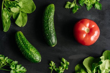 Koyu arka planda taze sebzeler. Masanın üzerinde salatalık, domates ve taze bitkiler var. Taze salata için malzemeler. Vejetaryenlik. Çiğ gıda diyeti..