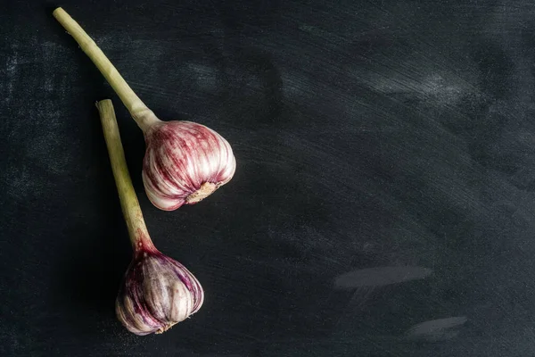 Fresh garlic on a black background. Two onions of garlic. Own crop. Copy space. Top view.