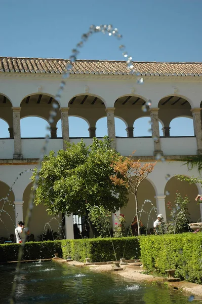 西班牙格拉纳达 2014年8月4日 哈姆布拉宫的花园和喷泉 一般生活 — 图库照片
