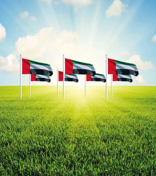 Bulutlu Güneş Işınlı Yeşil Bir Alanda Birleşik Arap Emirlikleri Bayrakları — Stok fotoğraf