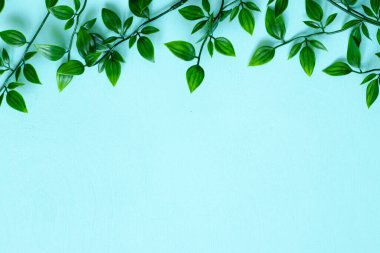  Yeşil yapraklı metin için boşluk.