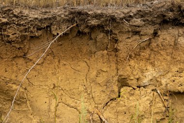  Toprak bölümü, vazoyla kil toprak.