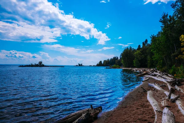 Seeufer mit Baumstämmen am Ufer, Wald und blauer Himmel mit Wolken — Stockfoto