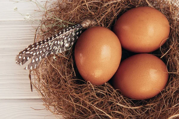 Kuřecí vejce v hnízdě na bílém dřevěném pozadí — Stock fotografie