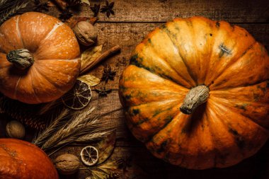  Kabataslak ahşap arka planda balkabakları, üst manzara. Sonbahar arkaplanı