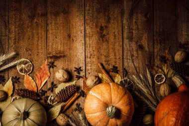 Sonbahar balkabakları, dikenler ve kurumuş çiçekler kaba bir ahşap arka planda, üst manzara, metin için boş alan