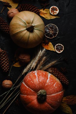  Siyah arka planda balkabağı ve buğday dikenleri. Sonbahar karamsarlığı. Yüksek kalite fotoğraf