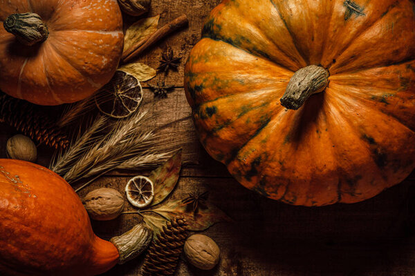  Pumpkins and dried flowers on a rough wooden background, top view. Autumn background. High quality photo