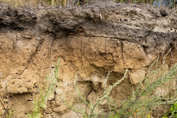  Toprağın jeolojik kısmı, toprağın dokusu. Yüksek kalite fotoğraf