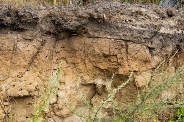  Toprağın jeolojik bölümü, toprağın dokusu.