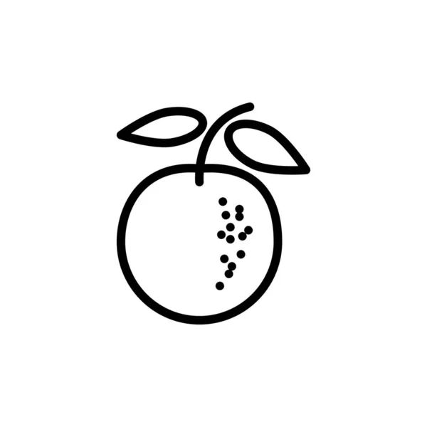 Ilustración Vector Gráfico Icono Fruta Apto Para Vitaminas Orgánicos Saludables — Vector de stock
