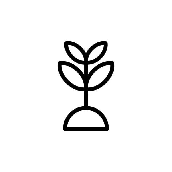 Ilustración Gráfico Vectorial Del Icono Crecimiento Apto Para Germinar Plantas — Vector de stock