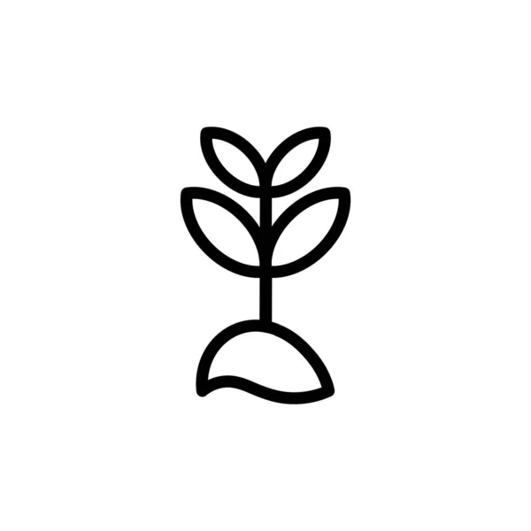 Illustration Vektorgrafik Des Wachstumsikons Fit Für Keimung Pflanze Natur Gartenarbeit — Stockvektor
