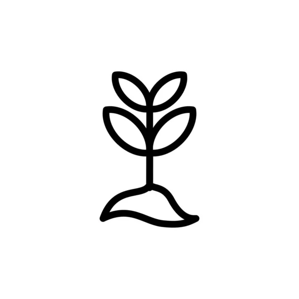 Ilustración Gráfico Vectorial Del Icono Crecimiento Apto Para Germinar Plantas — Vector de stock