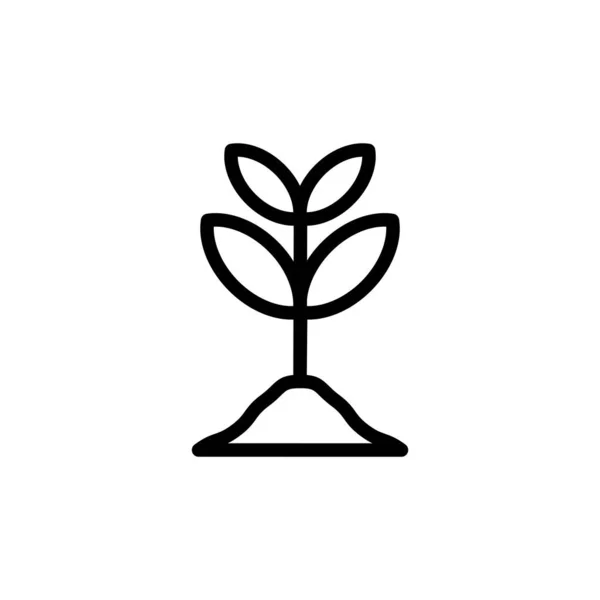 Ilustración Gráfico Vectorial Del Icono Crecimiento Apto Para Germinar Plantas — Vector de stock