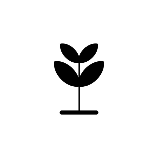 Illusztráció Vektor Grafikus Növekedési Ikon Csírának Növénynek Természetnek Kertészkedésnek Stb — Stock Vector